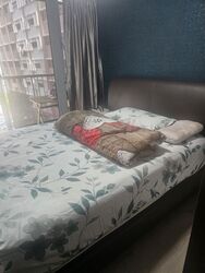 Blk 530A Pasir Ris One (Pasir Ris), HDB 4 Rooms #575815321